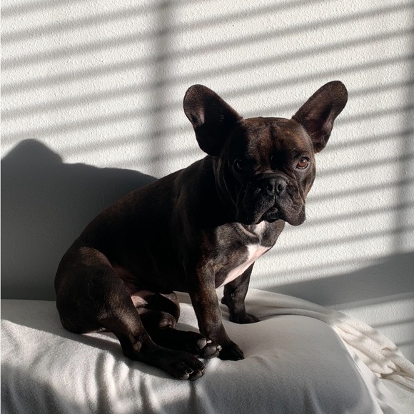 Tiara Miranda - Picture 4 of 4